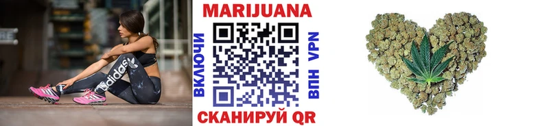 A PVP Кингисепп