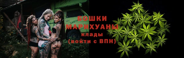 2c-b Краснослободск
