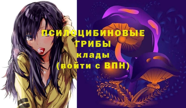 ГАЛЛЮЦИНОГЕННЫЕ ГРИБЫ Киренск