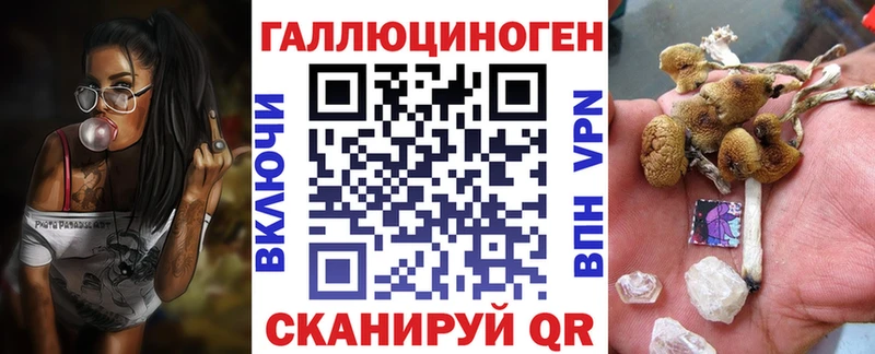 Купить где  Кингисепп  Галлюциногенные грибы Magic Shrooms 